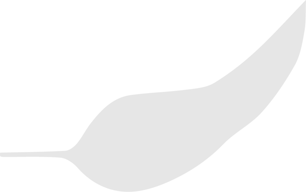 Coolibah Leaf 01